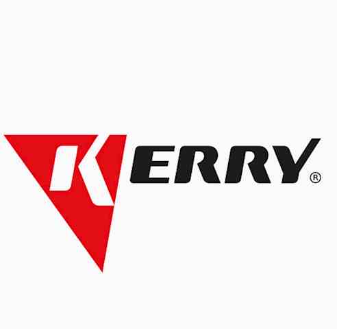 KERRY Смазка универсальная тефлоновая (аэрозоль) (210 мл), KR-938-1