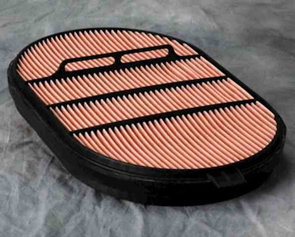 Donaldson P607557 [воздушный фильтр, предохранительный]